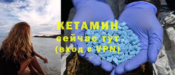 дмт Краснослободск