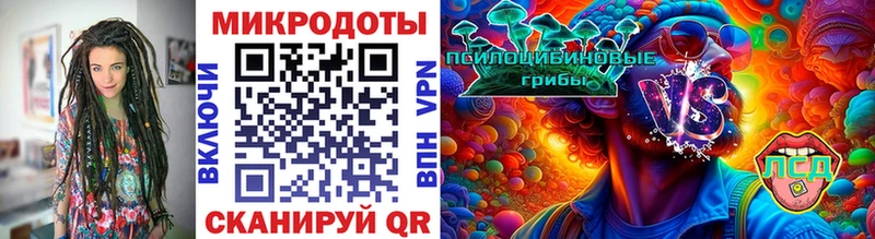 Галлюциногенные грибы Psilocybe  Александровское 